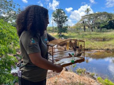 Ações de reabilitação do CETAS garante retorno de mais de 15 animais silvestres ao habitat natural | SECOM