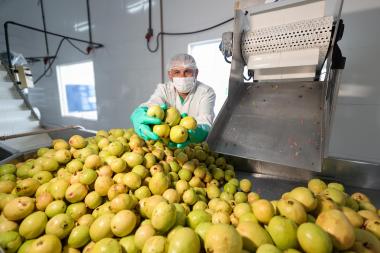 Com investimentos estruturantes, agricultura familiar amplia produção e renda nos municípios baianos | SECOM