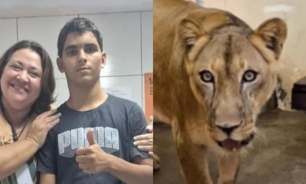 Jovem atacado por leoa morreu de choque hemorrágico após mordida no pescoço, afirma IML