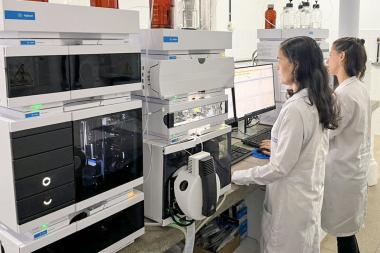 Pesquisadora do Cetab é premiada por estudo sobre abelhas sem ferrão publicado em revista internacional | SECOM