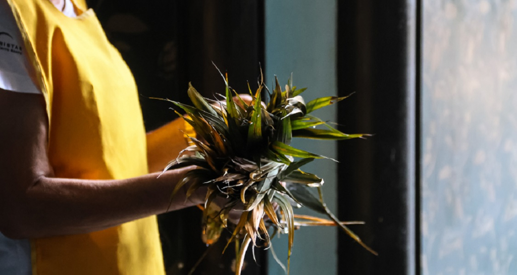 Hoje é Domingo de Ramos? Data marca o início da Semana Santa