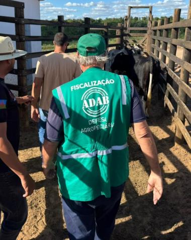 Adab intensifica acompanhamento de feiras de animais em todo o estado | SECOM