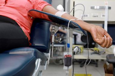 Hemoba divulga horários de atendimento durante o feriado de Tiradentes | SECOM