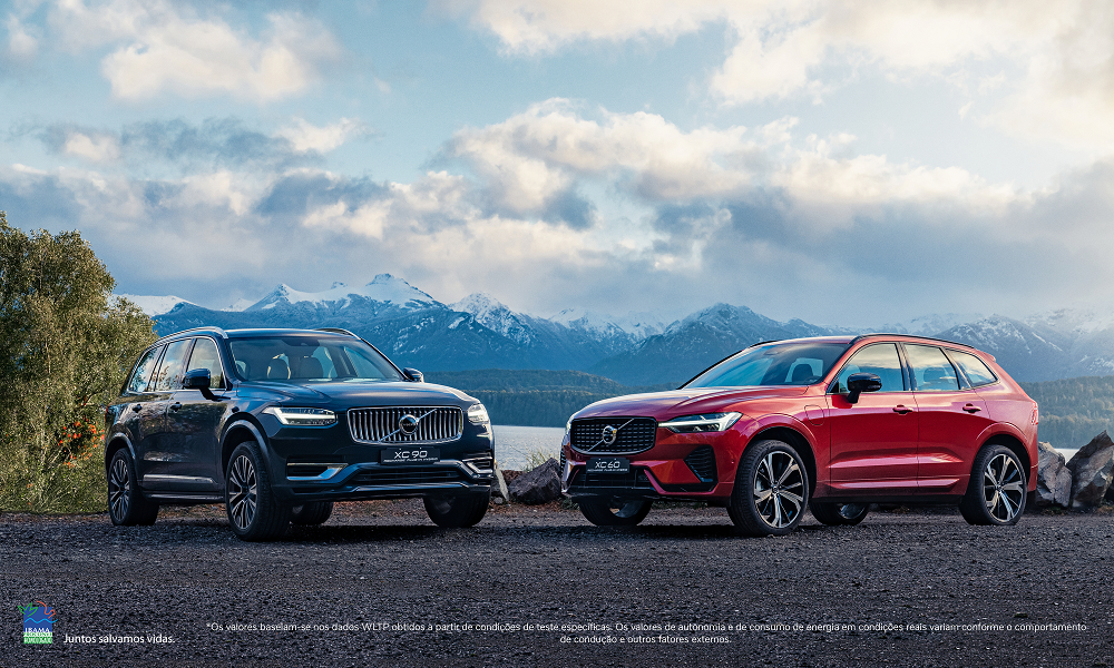 Prazos de manutenção e ficha técnica dos fluidos lubrificantes de motor