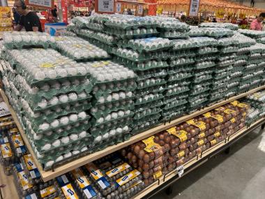 Produtos de Semana Santa em Salvador: histórico aponta o ovo de galinha como um dos vilões do período | SECOM