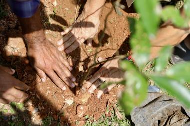 Sema lança manifestação de interesse para implantação da Rede de Viveiros Educadores da Bahia no Dia Nacional da Educação Ambiental | SECOM